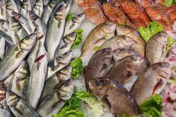 Der Rialto Fischmarkt Venedig Italien Blick Von Oben Auf Frischen — Stockfoto