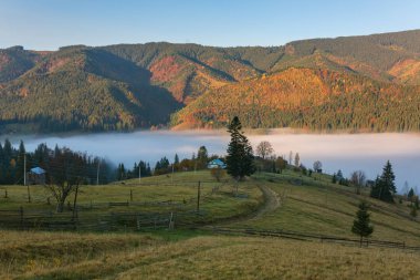 Renkli sonbahar manzara dağ köyünde. Sisli sabah Karpat Dağları, Ukrayna