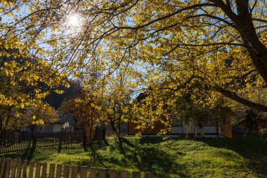 Karpat Dağları, Ukrayna köyünde güneşli sonbahar günü