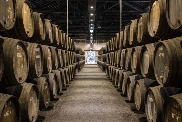 Fileiras Barris Madeira Vinho Porto Adega Porto Portugal — Fotografia de Stock