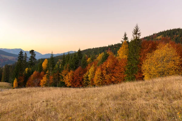 Schöne Herbstlandschaft Mit Bunten Bäumen Bei Sonnenuntergang Den Karpaten Ukraine — Stockfoto