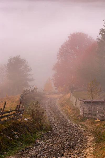 Beautiful Autumn Landscape Rural Road Sunrise Carpathian Mountains Ukraine — Stock Photo, Image