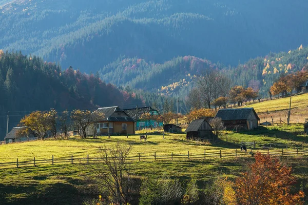 Farbenfrohe Herbstlandschaft Bergdorf Nebliger Morgen Den Karpaten Ukraine — Stockfoto