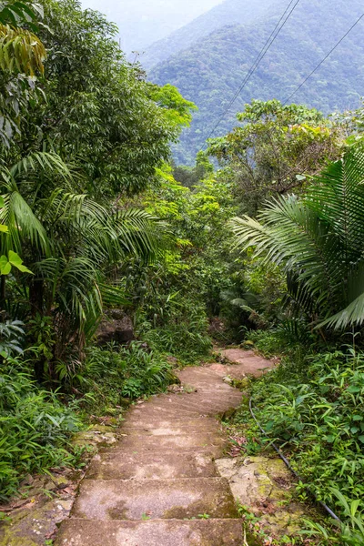 Escalier Descendant Colline Dans Une Forêt Tropicale Chemin Vers Village — Photo