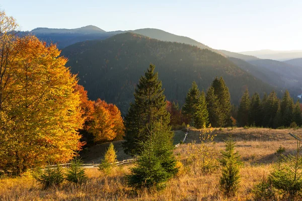 Schöne Herbstlandschaft Mit Bunten Bäumen Den Karpaten Ukraine Rote Gelbe — Stockfoto