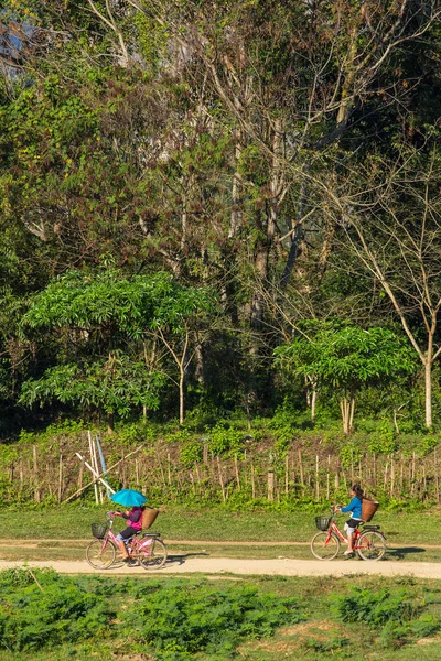 Vang Vieng Laos Gennaio 2017 Ragazze Non Identificate Bicicletta Una — Foto Stock