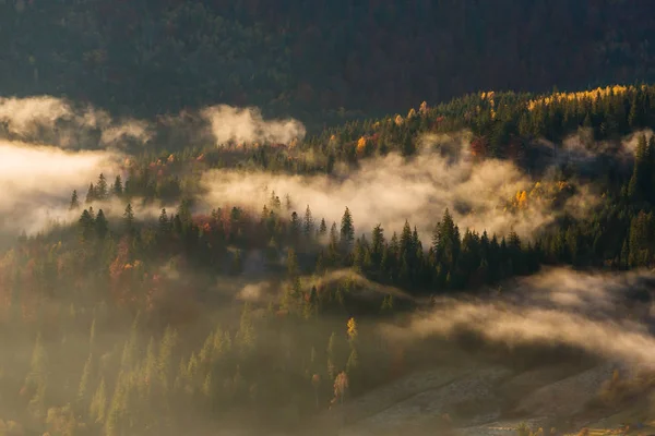 Красиві Осінній Пейзаж Рано Вранці Карпатських Гір Україна — стокове фото