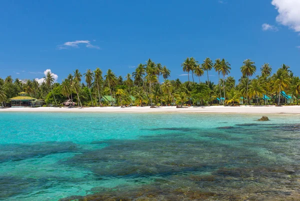 Palmen Wunderschönen Tropischen Strand Auf Der Insel Koh Kood Thailand — Stockfoto