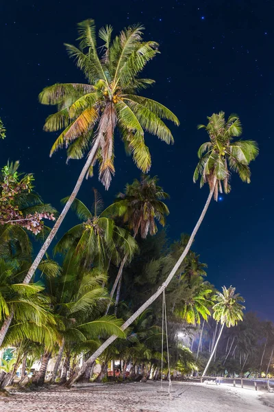 Palme Sulla Spiaggia Notte Sull Isola Koh Kood Thailandia — Foto Stock