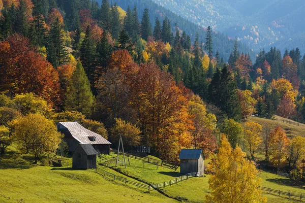 Farbenfrohe Herbstlandschaft Bergdorf Nebliger Morgen Den Karpaten Ukraine — Stockfoto