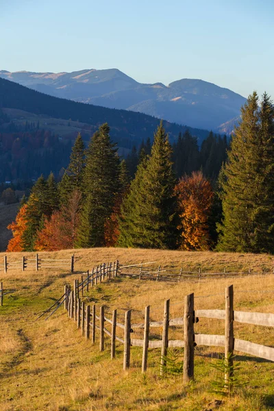 Beautiful Autumn Landscape Colorful Trees Carpathian Mountains Ukraine Red Yellow — Stock Photo, Image