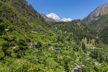Himachal Pradesh eyaletinde, Kuzey Hindistan güzel Parvati vadisinde Tosh Köyü