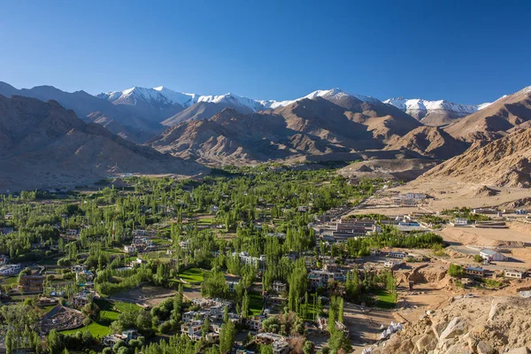 Hermosa Vista Ciudad Leh Verde Valle Del Indo Ladakh Jammu —  Fotos de Stock