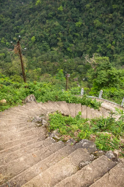 Сходи Вниз Схилу Тропічному Лісі Шлях Nongriat Село Відомих Живих — стокове фото