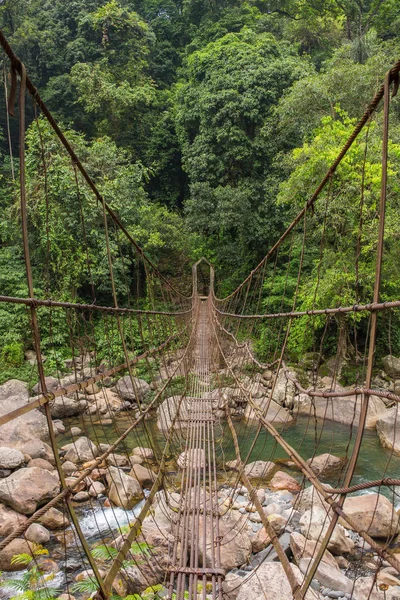 Hängebrücke Der Nähe Von Nongriat Village Cherrapunjee Meghalaya Indien — Stockfoto