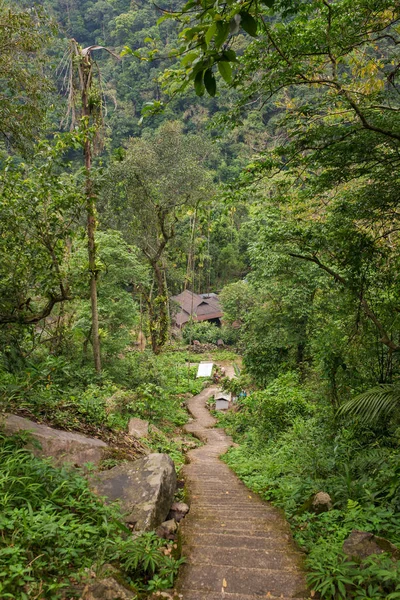 Tropik Bir Ormanda Tepeden Aşağı Merdiven Nongriat Köyü Ile Ünlü — Stok fotoğraf