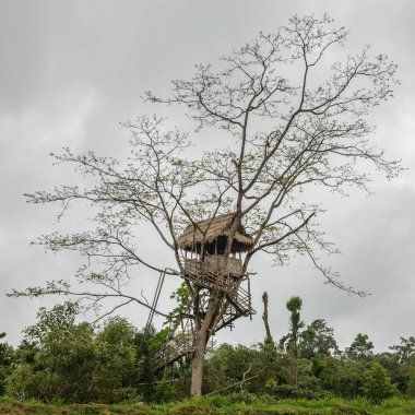 Basit ağaç bambu Mawlynnong köyümde Meghalaya devlet, Hindistan yapılmış ev