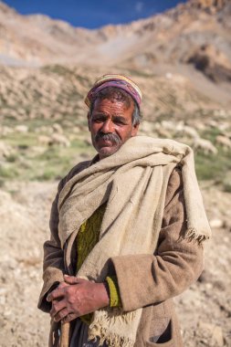 Sarchu, Hindistan - 17 Temmuz 2017: Kimliği belirsiz Hint çoban ile onun koyun Ladakh, Kuzey Hindistan Sarchu kampında yakınındaki portresi