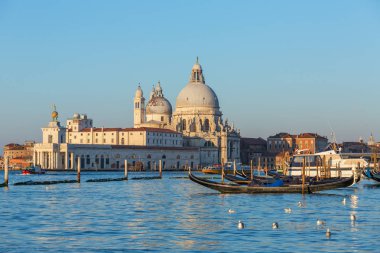 Santa Maria della Salute Venedik, İtalya