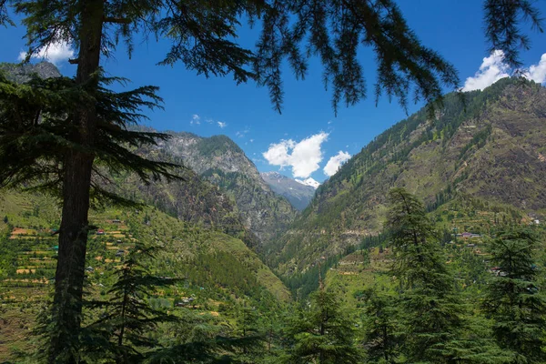 Hermosa Vista Del Valle Parvati Himachal Pradesh India — Foto de Stock