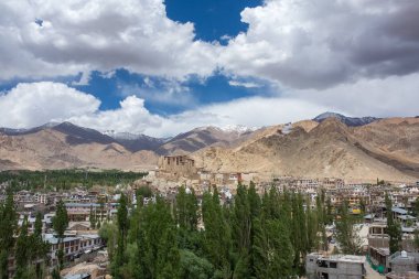 Leh şehrinin güzel manzarası ve ortasında Leh sarayı olan yeşil İndus vadisi, Jammu ve Kashmir, Hindistan.