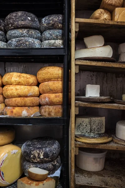 Різні види козячого сиру на полицях в підвалі на сирній фермі — стокове фото