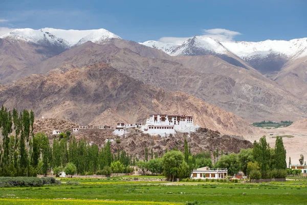 Stakna gompa templo (monasterio budista) con una vista de las montañas del Himalaya en Leh —  Fotos de Stock