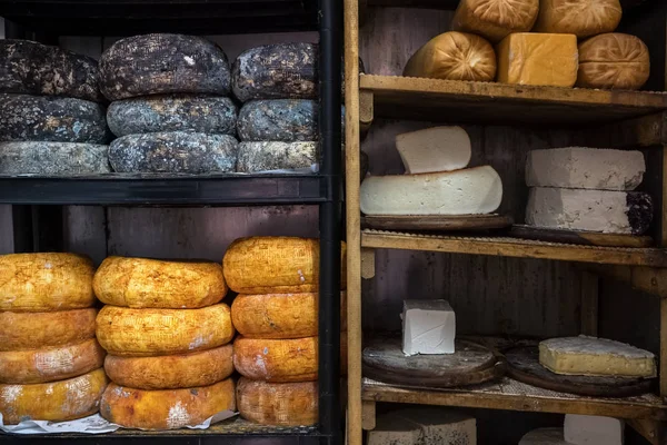 Різні види козячого сиру на полицях в підвалі на сирній фермі — стокове фото