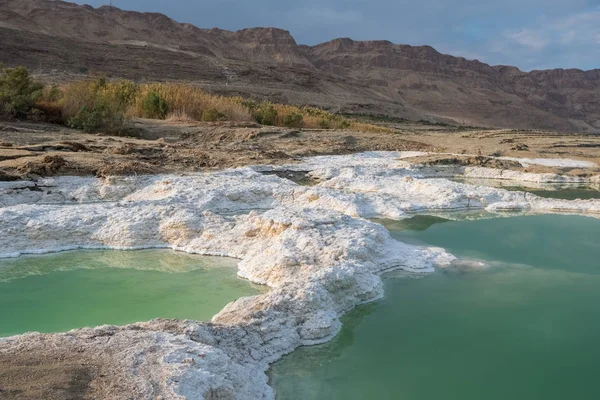 Vista Perto Dos Cristais Sal Formação Mineral Costa Mar Morto — Fotografia de Stock