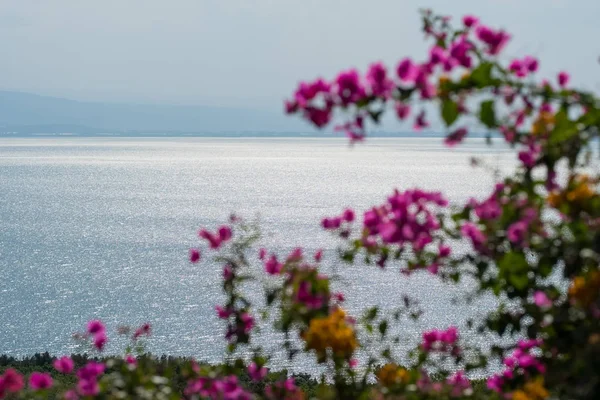 Vackra Landskapet Över Galileiska Sjön Eller Kinneret Sjön Israel — Stockfoto