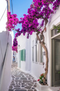 Eski şehir Naoussa, Paros Adası, Cyclades tipik bir dar sokakta görünümünü