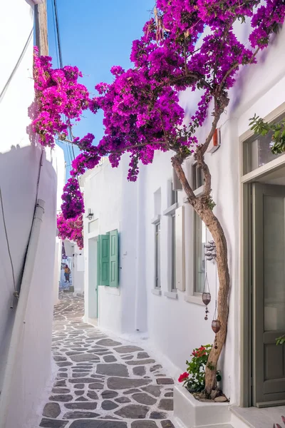 Vista de una típica calle estrecha en el casco antiguo de Naoussa, isla de Paros, Ciclades — Foto de Stock