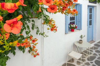 Naoussa eski kasabasında güzel bir dar cadde görünümü, Paros Adası, Cyclades, Yunanistan