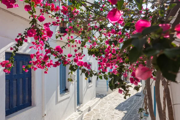 Widok Piękną Wąską Uliczkę Starym Mieście Naoussa Paros Cyklady Grecja — Zdjęcie stockowe