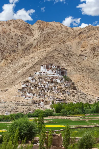 Chemre Gompa Buddyjski klasztor w Ladakh, Indie — Zdjęcie stockowe