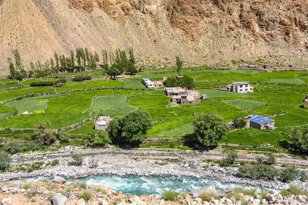 Groen zomer zicht op de Indusvallei in het Himalaya gebergte in Ladakh — Stockfoto