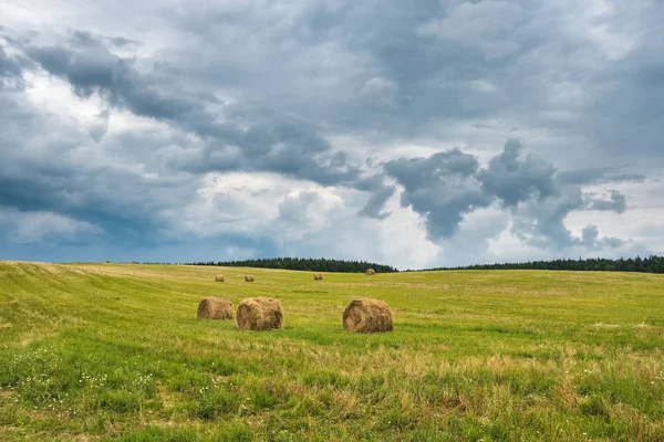 Beyaz Rusya'da hasat sonrası saman yığınları ile Kırsal peyzaj alan çayır — Stok fotoğraf