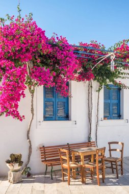 Andros Adası 'nda geleneksel mavi pencereleri ve çiçekleri olan Beyaz Saray cephesi, Kiklad