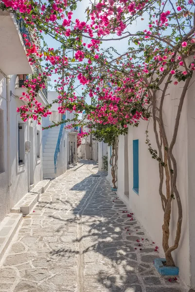 Vista de una típica calle estrecha en el casco antiguo de Naoussa, isla de Paros, Ciclades —  Fotos de Stock