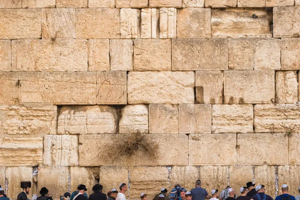 Δυτικό τοίχο στην Ιερουσαλήμ, Ισραήλ — Φωτογραφία Αρχείου