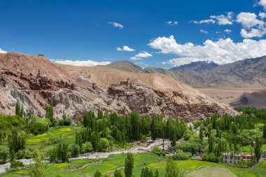 Leh ilçesinde Bazgo vadisinde Basgo Gompa manastırı, Ladakh, Hindistan
