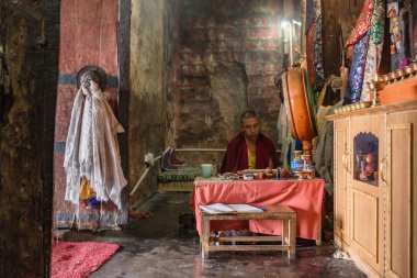 Tibetli budist keşiş Ladakh Thiksey gompa manastırda dua, Hindistan