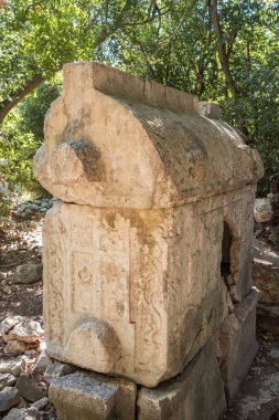 Türkiye 'nin Cirali kentindeki Antik Olimpos kentinde Lycian mezarı