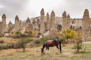 Aşk vadisi, Kapadokya arka planda ünlü kaya oluşumları ile Atlar.