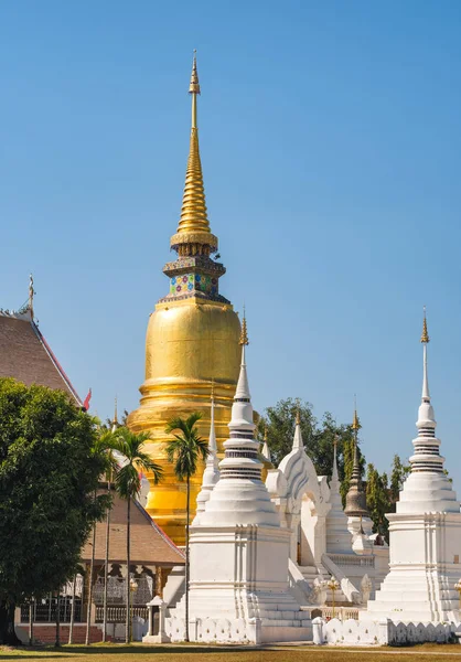 Wat Suan Dok temppeli Chiang Mai, Thaimaa — kuvapankkivalokuva