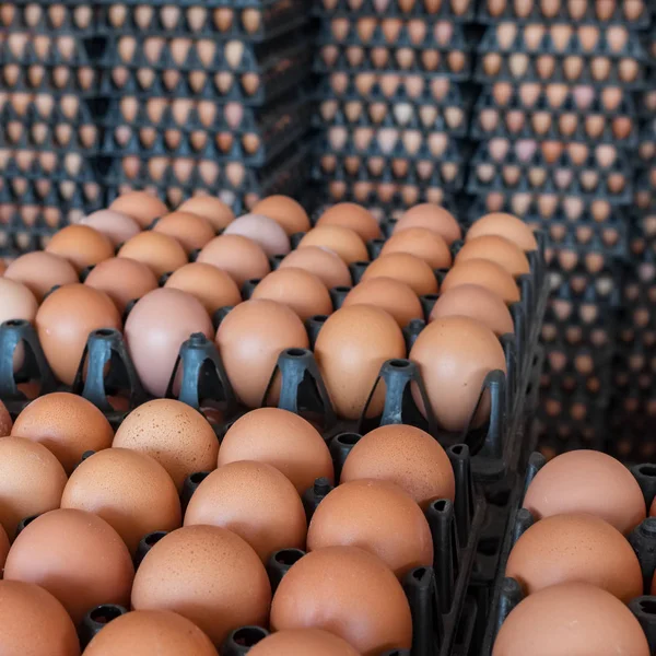 Stacks of brown eggs in the shop