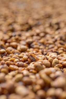 Güneşte kurutma kahve çekirdekleri