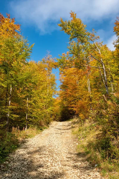 Hermoso paisaje con árboles de otoño en las montañas de los Cárpatos, Ucrania —  Fotos de Stock