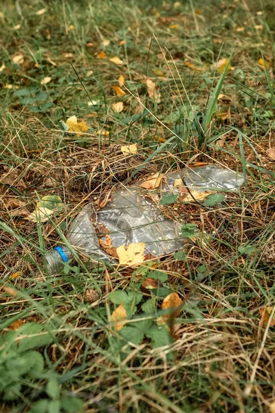 Plastic bottle on green grass in the forest