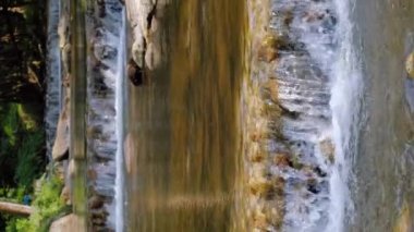 Ormandaki kayaların üzerinden akan su deresi